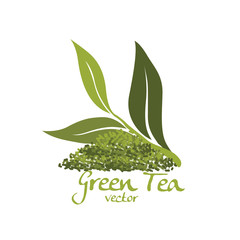 green tea vector