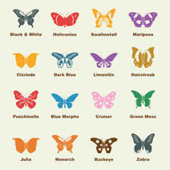 butterfly elements