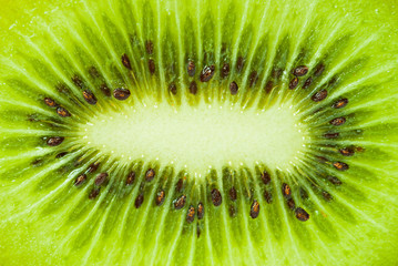 Close up kiwi sliced