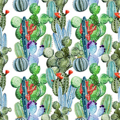 Fototapety  Akwarela kaktusowy wzór