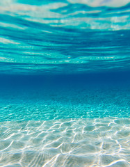 Fototapeta premium Underwater