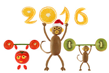 Monkey Santa Claus holding in 2016