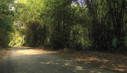 Obraz premium Landscape in Van Long natural reserve in Ninh Binh, Vietnam. Vietnam landscapes.