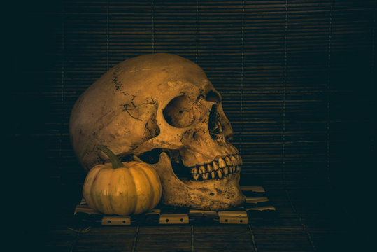 Still life skull concept in halloween