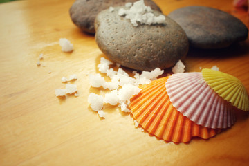 Spa set of stones and salt with shell