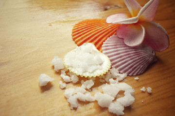 Spa set of shell and salt with flower