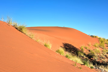 Fototapeta na wymiar Desert Landscape - NamibRand, Namibia