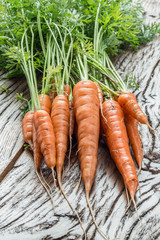 Carrots with greens on the old wooden table.