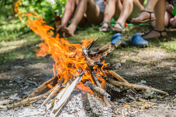 Bonfire in the forest. Happy holidays.