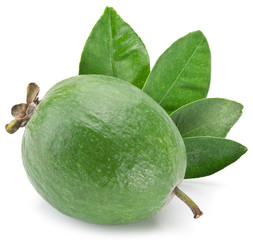 Feijoa on a white background.