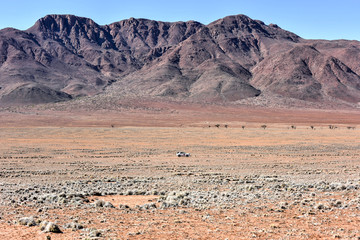 Fairy Circles - Namibia