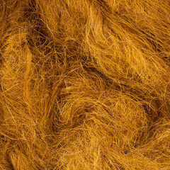 Wild hair in a close-up