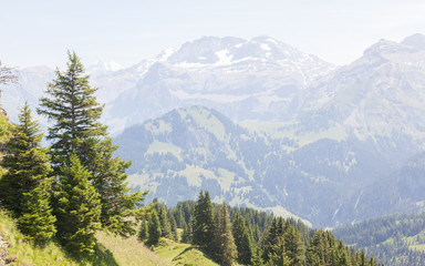 Typical view of the Swiss alps