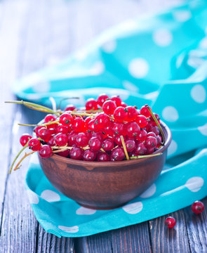 red currant