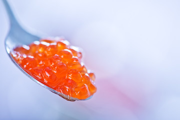 red salmon caviar