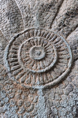 Antiques ( Wheel of Dhamma )