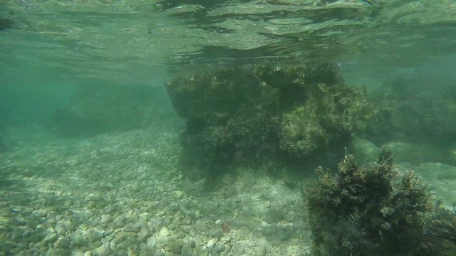 slow motion diving and observing rocky shallow sea bottom of Adriatic sea