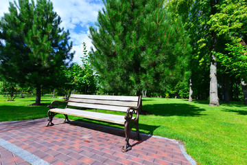 Fototapeta premium green park