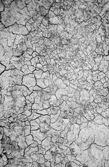 Surface of a grungy dry cracking parched earth