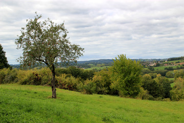 Vue de Saint-Robert.(Corrèze)