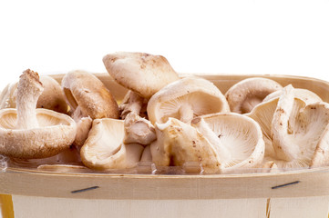 Shiitake mushrooms