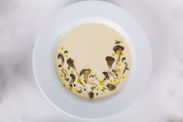 soup with oyster mushrooms and thyme plate top menu isolated