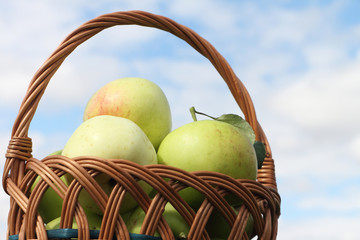 Basket with apples against the sky