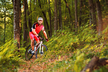 Biker riding on bicycle in wood