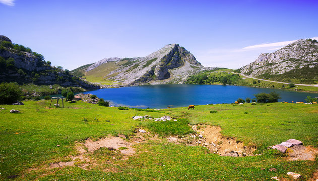  mountains landscape with lake and pasture