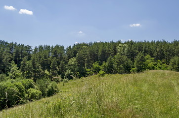 Background of sky, clouds, field  and forest, Plana mountain, Bulgaria 