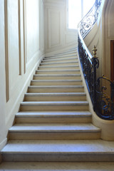 Escalier en marbre avec rambarde  - 92342928