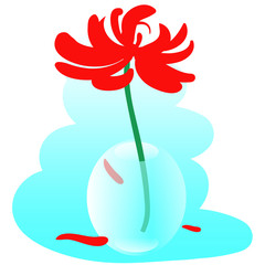 Fototapeta premium Glass Vase with Red Chrysanthemum