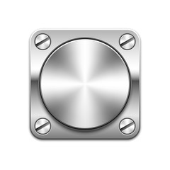 Metallic button in silver frame