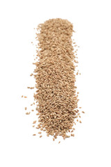 Row of Organic Ajwain (Trachyspermum ammi) isolated on white background.