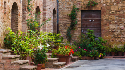 Brick streets of sandstone with green plants in Tuscan village,