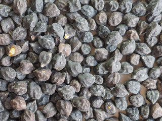Black chickpeas