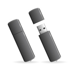  USB Flash Drive. Vector