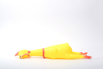 toy rubber chicken on white background