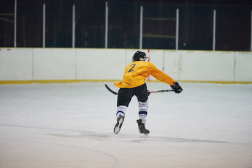 ice hockey player in action