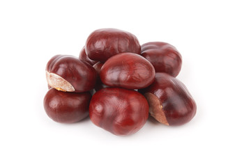 chestnut