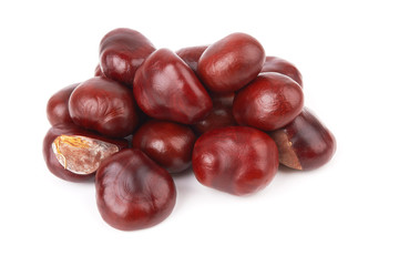 chestnut