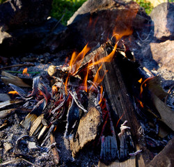 Obraz premium Camping Bonfire with sparks