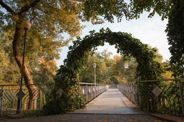 Green arch in the park