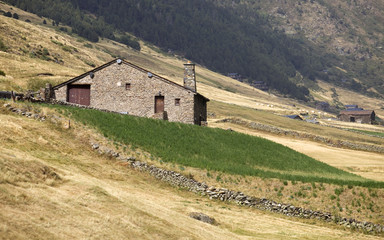 Typical houses