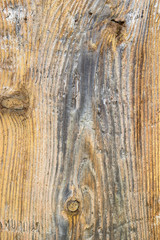 Fototapeta premium The old wood texture with natural patterns