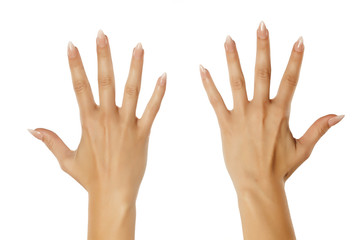 beautiful female hands with well-manicured nails