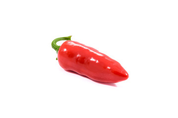 Red jalapeno chili hot pepper on white background