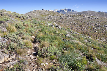 Fototapeta na wymiar Camino de los Pozos del Tio Ruperto en la Sierra de Gredos. Avila