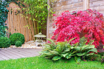 Japanese stone lantern and red maple tree in a zen garden