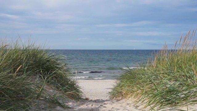 blick von der d&uuml;ne auf die ostsee